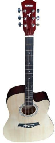 Semi Acoustic Guitar