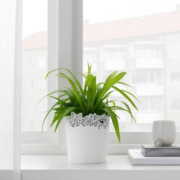 SAMVERKA Plant pot, white, 12 cm - IKEA