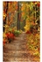 Universal 3x5FT Photography Vinyl Background Autumn Fall Forest Backdrops Studio Props