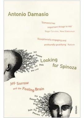 Looking For Spinoza :Joy, Sorrow And The Feeling Brain Paperback