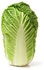 Chinese Cabbage - 1 Piece appx. 1.5kgs