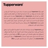 Tupperware Base Line- Lunch Box- 500ml-Tupperware