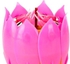 Lotus Flower Musical Birthday Candle Pink/Green/Yellow