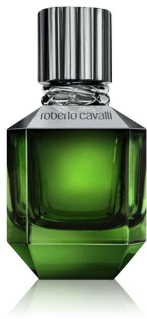Roberto Cavalli Paradise Found For Men Eau De Toilette 75Ml