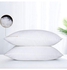 600gm Hollow Siliconized Kids Pillow 1Pc Cotton White 40x60cm