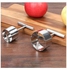 Stainless Steel Fruit Seed Remover Silver
