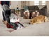 Hoover Power Scrub Elite Corded Carpet Cleaner, CWGDH012 (1200 W)