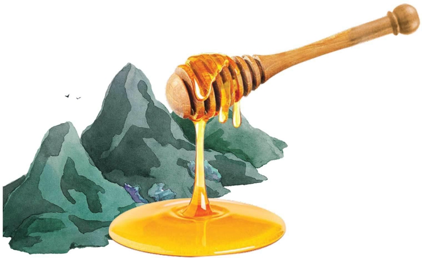 Kashmiri Mountain Honey