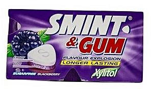 SMINT & Gum Blackberry Sugar Free Chewing Gum - 14g