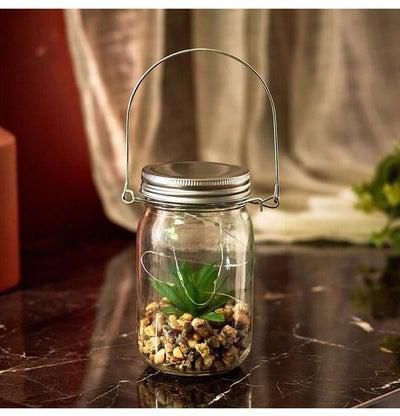 Orla Glass Bottle With 10-Micro LED Light And Artificial Succulent 14 x 8.5 x 8.5 cm