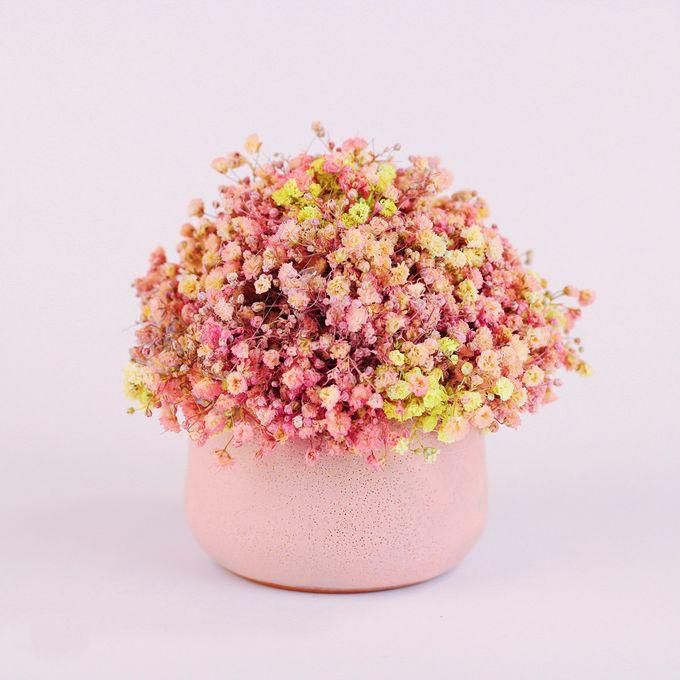 Natural Baby Flower Pot(forever Flower) -pink