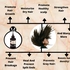 Mekis Jamaican Black Castor + Amla + Rosemary + Peppermint Oil–Promotes Hair Growth & Stops Hair Fall