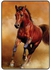 Protective Case Cover For Apple iPad Air 5 10.9 Inch 2022 Horse