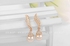 Crystal Dolphin Pearl Earrings [2020004345]