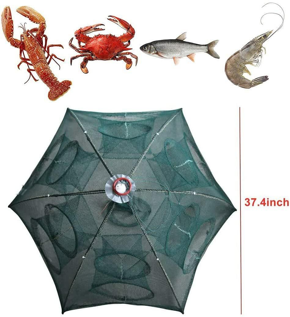 RoyalPolar Portable Folded Fishing Net Fish Shrimp Minnow Crayfish Crab Baits Cast Mesh Trap (12 Holes)