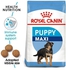 Royal Canin Maxi Puppy Dry Food 1 KG