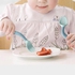 طبق طعام اطفال مضاد انزلاق مع عرض شوكة ومعلقة قابلة للطي ٦ شهور.