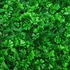 Plant Mat D Wall Hedge Decor Privacy Fence Panel Grass