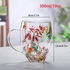 Double Wall Glass Coffee Mugs Clear Cups for Cappuccino Tea Espresso Latte Hot Beverages Glasses Birthday Gifts for Women Her