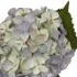 Candlelight Single Hydrangea Two Tone Green and Blue Faux Stem, 46cm