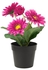 FEJKAArtificial potted plant, Gerbera pink