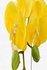 Artificial Phalaenopsis Orchid Flower With Moss Yellow 62x12centimeter