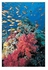 Decorative Wall Poster Blue/Yellow/Red 60x40centimeter