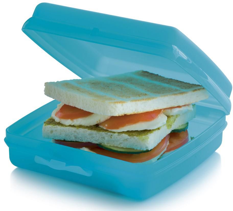 Tupperware Square Lunch Box Blue - علبة سندوتشات مربعة أزرق من تابروير