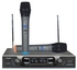 Max DH 769 UHF Dual Channel Wireless Microphone Set