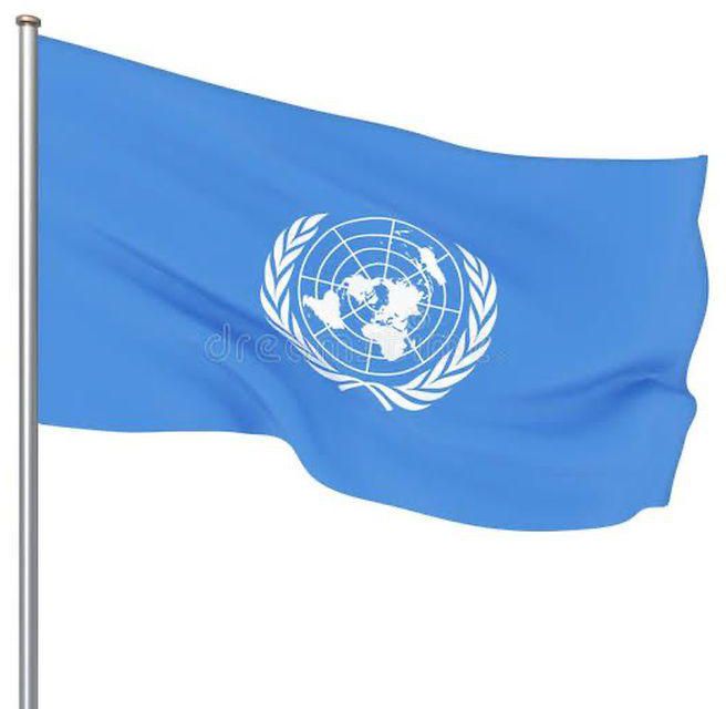 Flag United Nation Flag (Outdoor) X 1piece