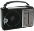 Golon 606 Classic Mini Electric Radio - Black