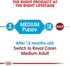 Royal Canin Size Health Nutrition Medium Junior Dog Food (10 kg)