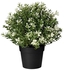 Fejka Artificial Potted Thyme Plant