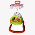 Baby Walker With Canopy