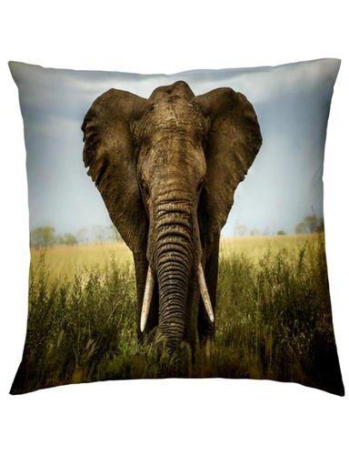 Texveen An-P-0024 Animals Digital Printed Pillow Cover - Multicolor - 40x40 cm