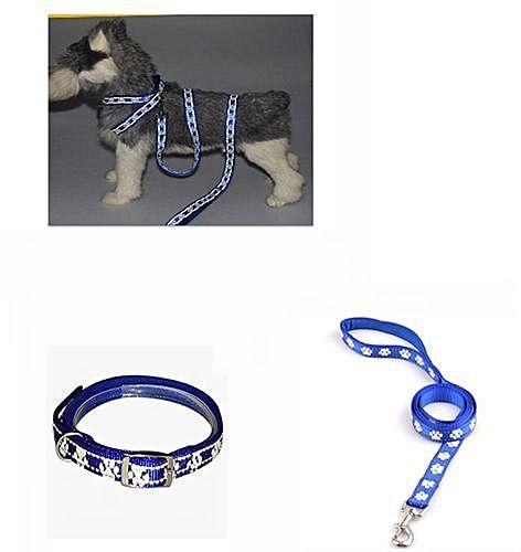Eissely 2pcs/set Pet Dog Fluorescent Reflective Collar Drawstring Traction Rope Leash Ha
