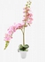 Artificial Phalaenopsis Orchid Flower With Vase Pink/Green/White