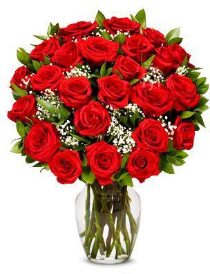 24 Red Roses in a Vase