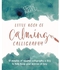 Kirsten Burke's Little Book of Calming Calligraphy: 15 minutes of mindfulness a day to help keep your worries at bay.