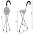 Walking Stick With Chair - Upto 110Kg