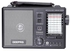 10-Band Rechargeable Radio GR 6842 Grey