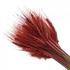 Fancy Natural Dry Wheat Grass Dried Weat Flowers Painted Cherrywood