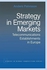 Taylor Strategy in Emerging Markets: Telecommunications Establishments in Europe