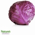 Red Cabbage (Chemical Free)