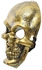 Plastic Halloween Mask With Skull Design For Halloween Decorations - Gold