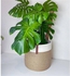 Handmade Jute Plant Pot, 30 cm, Beige/White - B512
