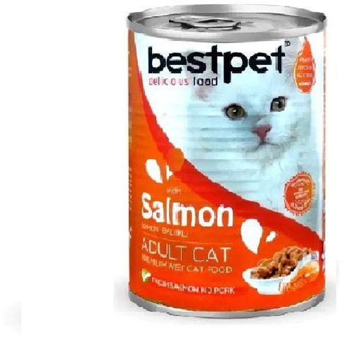 Bestpets "بيستبيت علب طعام رطب للقطط البالغة سمك السلمون 400 جرام "
