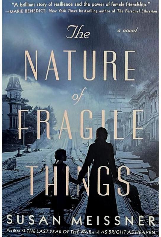 The Nature of Fragile Things - A Novel