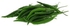 Green Chilli India 100 g