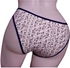 Panty 1241 For Women - White And Navy Blue, Large